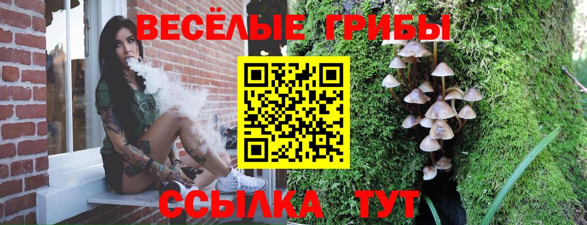 Галлюциногенные грибы Psilocybe  Вход с VPN  Галлюциногенные грибы Cubensis  Асбест 